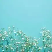 まるもの画像