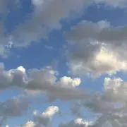 aoの画像