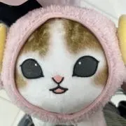 ほしの画像