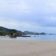 ゆのんの画像
