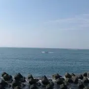 かのん