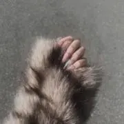 Himeの画像