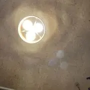 りんの画像