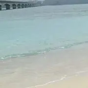 シールの画像