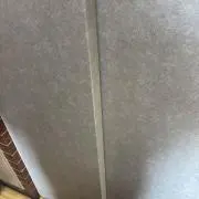 dodorawの画像