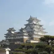 こうめいの画像