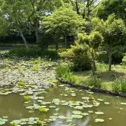 こはるの画像