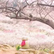そらまめ★プロフご確認下さい★の画像