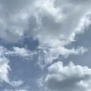 かい