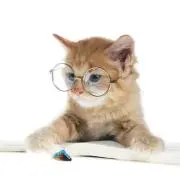 六ペンスの画像