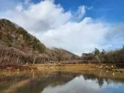 うめチョコ《プロフ必読》の画像