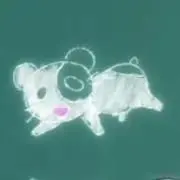 hayhayの画像