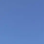 れもの画像