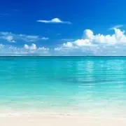 SAKURAの画像