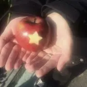 yyの画像