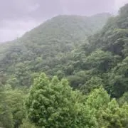 うさ太郎