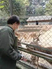 パンキングの画像