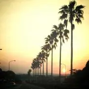 ♡SURF ♡プロフ必読♡