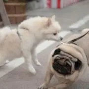 りっけんばうあー