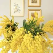 おかゆ｜即日〜翌日発送◎の画像