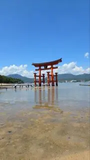 ことことの画像