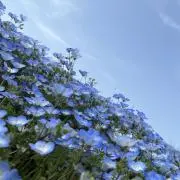 まる