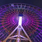 ゆず