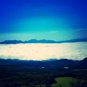 Karanjaの画像