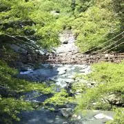 ちゆれ