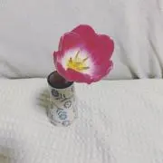 DRMの画像