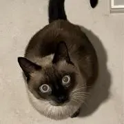クレア