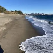 tmの画像