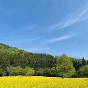 youkanの画像