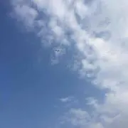 tokoの画像