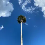 萬