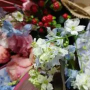 アネラ