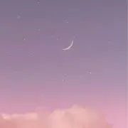noaの画像