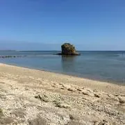 ライト
