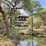 mailoの画像
