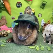 キコままの画像