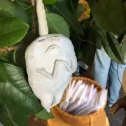 ミズアキの画像