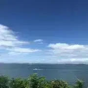 まおの画像