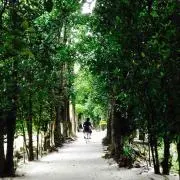 marie  ☆プロフィール必読の画像