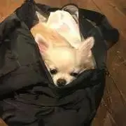 M★の画像