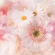 ＊みはな＊【オーダー休止中】の画像