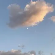 あおの画像