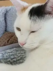 べーかりー