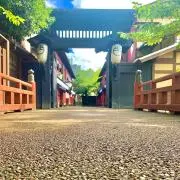 五角ちゃんの画像