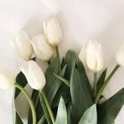 なつなつの画像