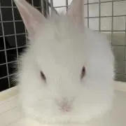 だいちゃん